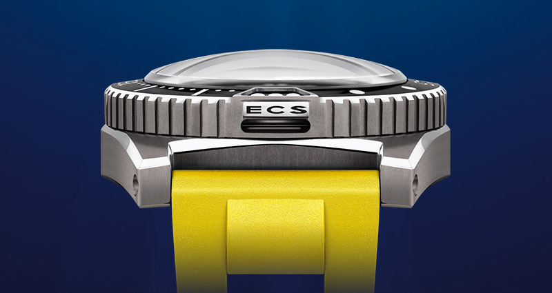 WORLWIDE PATENT ECS<sup>®</sup>