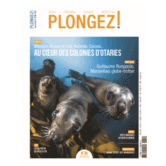 Plongez-039-2022